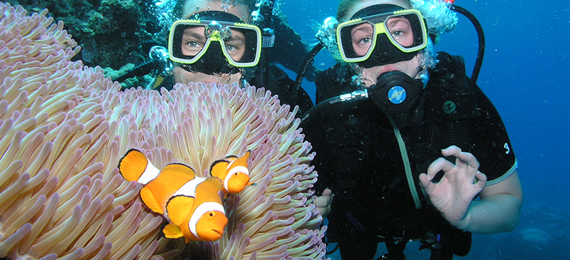 Pro Dive: PADI 5 Day Learn to Dive