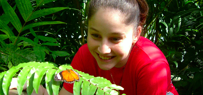 Kuranda-butterfly Sanctuary